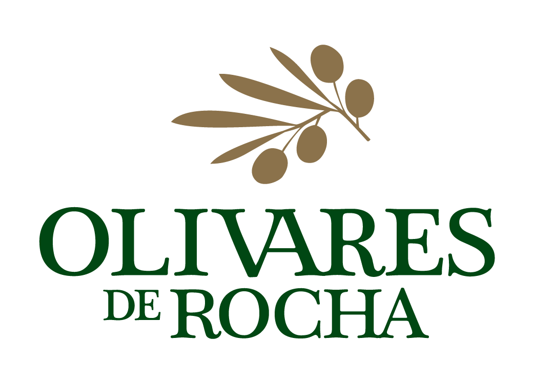 Logo ODR sin fondo